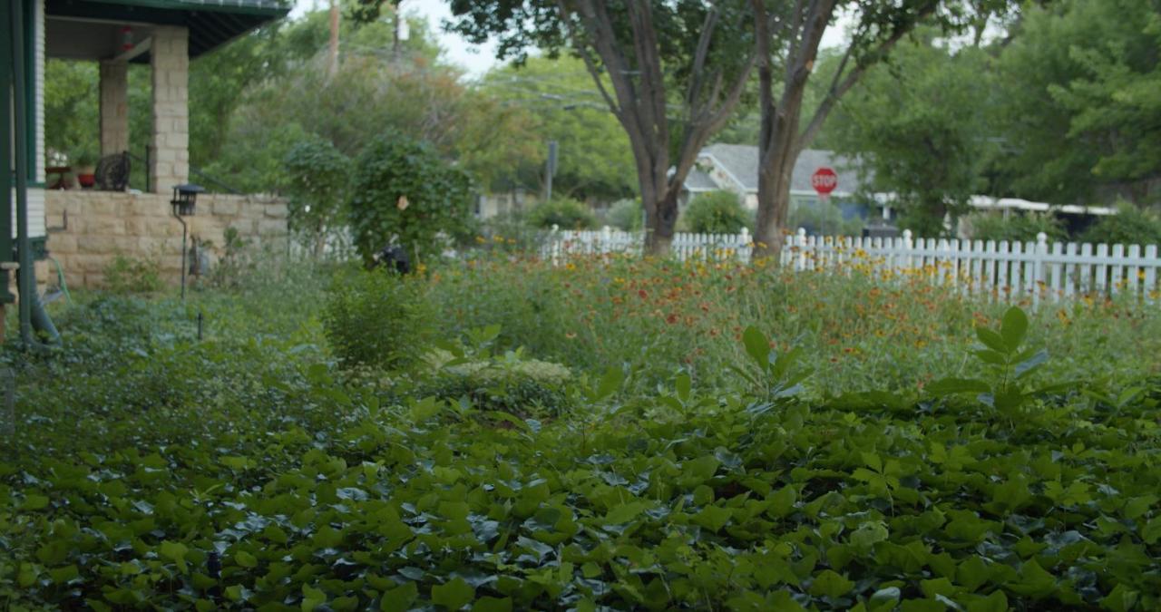 Granbury Gardens Bed And Breakfast Exteriér fotografie